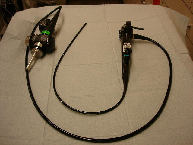 Video bronchoscope