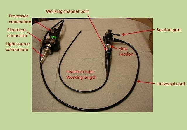 Video bronchoscope (annotations)