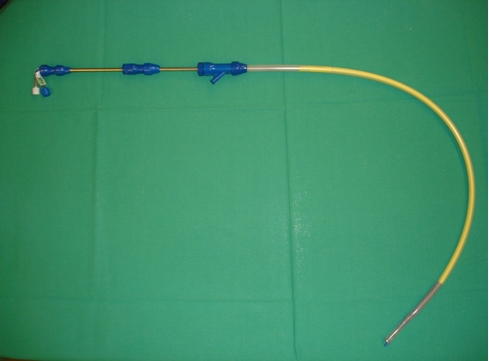 Instrument for the placement of autoexpandible stents