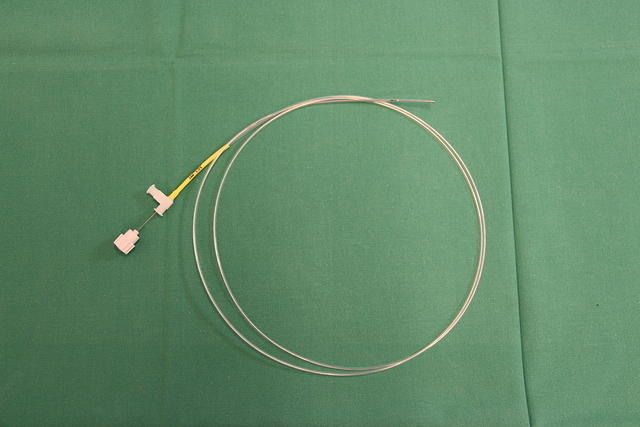 Transbronchial needle (WANG)