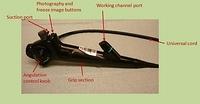 Video bronchoscope, control section (annotations)